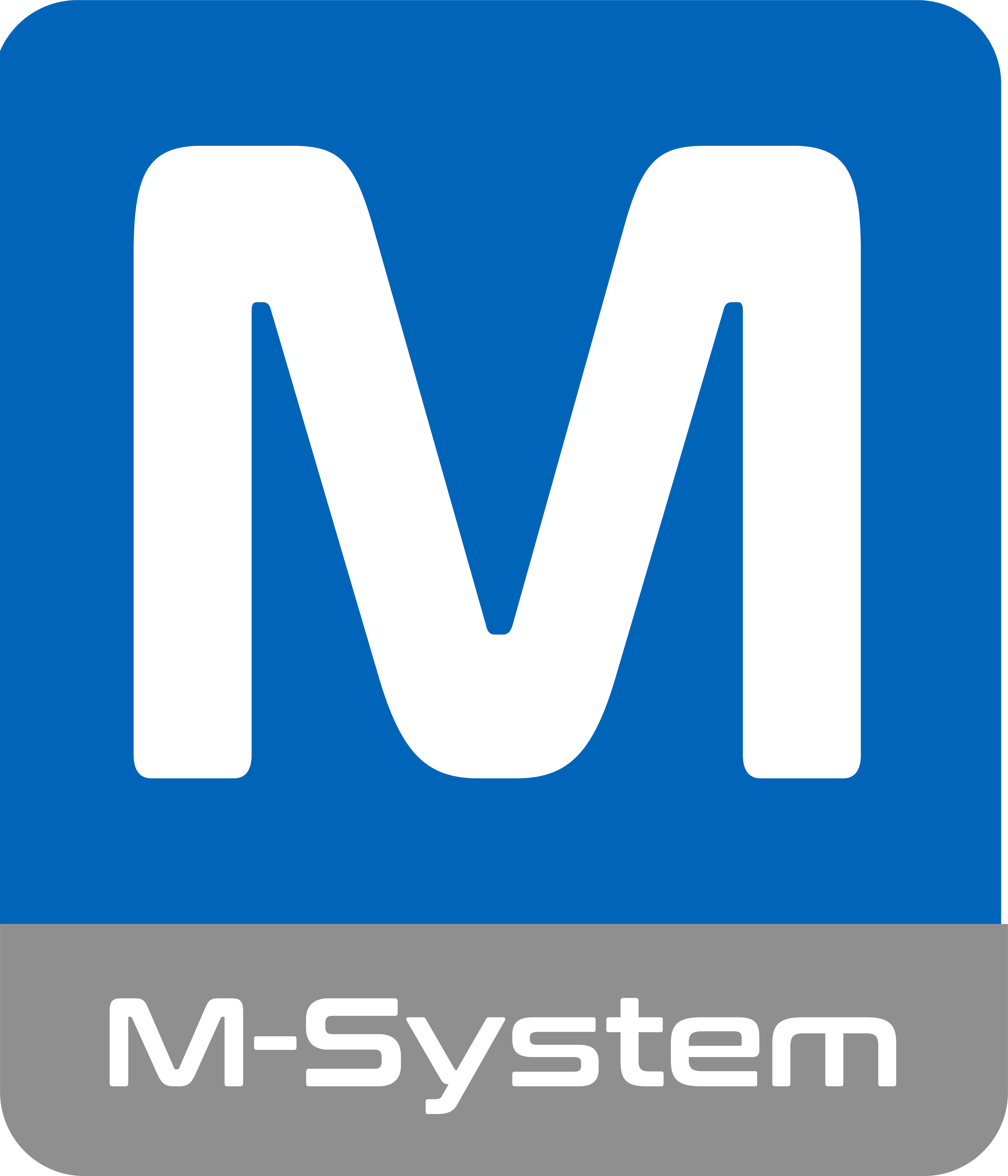 M-System principal